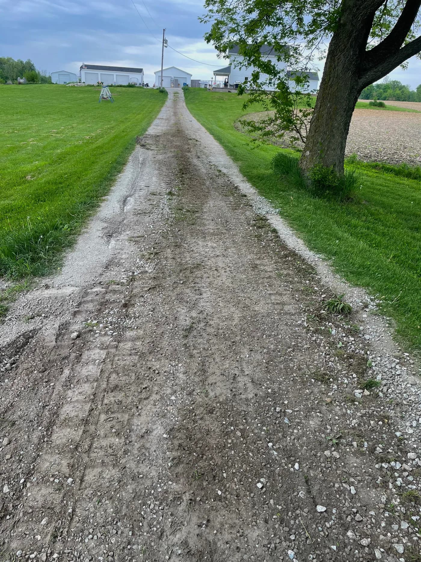 Freshly graded gravel driveway bordered by mowed grass